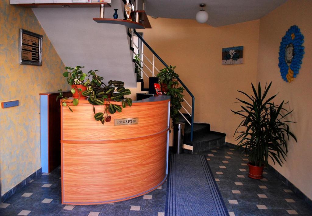 Vila Meteor Cluj-Napoca Exterior photo